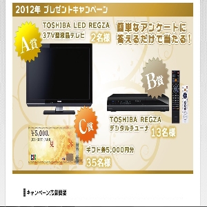 �y�V���{�n���z2012�N�v���[���g�L�����y�[��