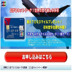 �f���^ �X�J�C�}�C��JCB�J�[�h�i��ʃJ�[�h�j
