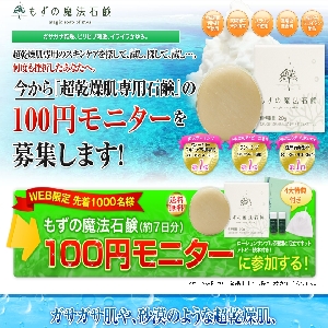 �y�����̖��@�Ό��z����������p�Ό���100�~���j�^�[�I�I