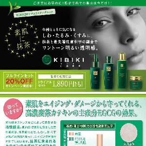 �����̃X�L���P�A�yKIBIKI�z