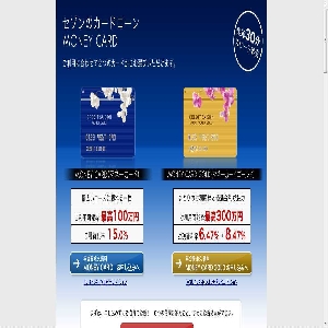 �Z�]���̃J�[�h���[���yMONEY CARD�z
