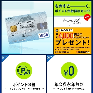 �y�O��Z�FVISA�z�G�u���v���X�J�[�h