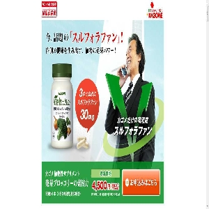 �A�����T�v�������g�y����u���b�R���[�f�ޗ́z
