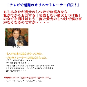 �v���������鎸�s���Ȃ��ɔ鈤�������p