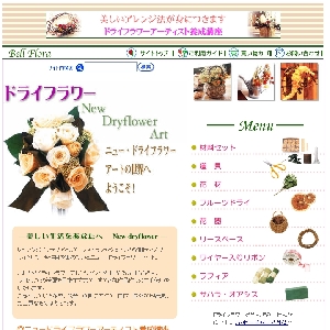 �h���C�t�����[�̂��X