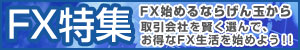 FX特集
