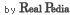 RealPedia
