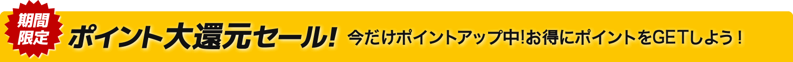 ポイント大還元セール! 今だけポイントアップ中!お得にポイントをGETしよう!